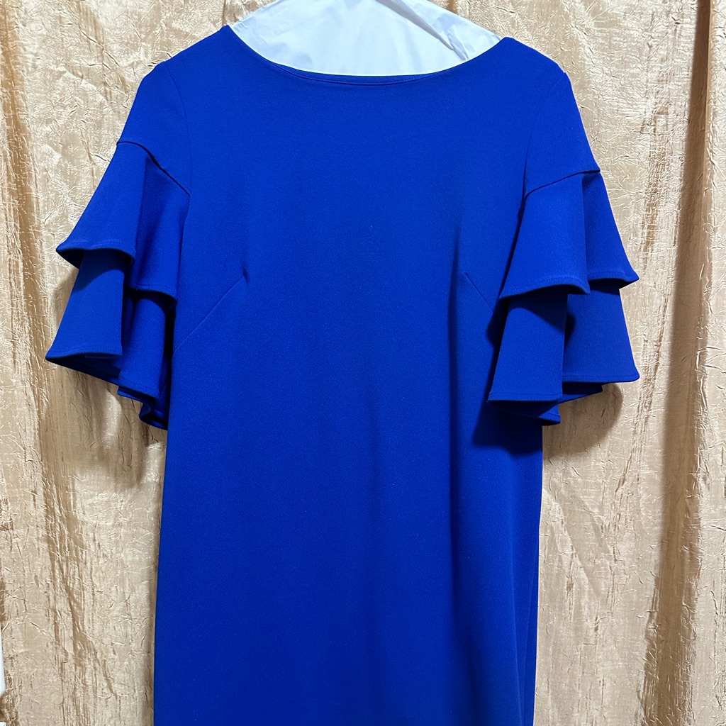 Calvin Klein Sz 6 Royal Blue Ruffle Sleeve Dress